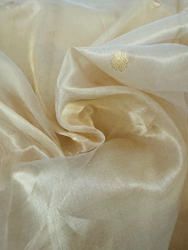 Banarasi Kora Tissue Organza Silk Saree | Golden Beige | Gold Zari | Handwoven | Ships from California